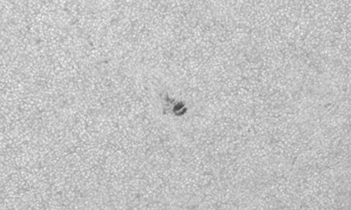 2023年3月4日の黒点（活動領域13244）