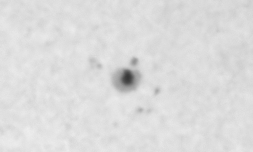 2023年3月5日の黒点（活動領域13238）