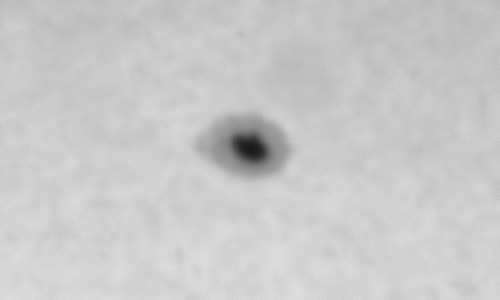 2023年3月5日の黒点（活動領域13239）