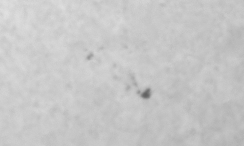 2023年3月5日の黒点（活動領域13244）