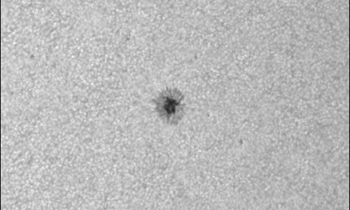 2023年3月7日の黒点（活動領域13238）