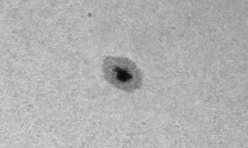 2023年3月7日の黒点（活動領域13239）