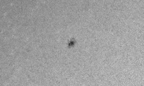 2023年3月12日の黒点（活動領域13252）