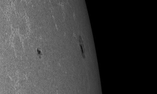 2023年3月12日の黒点（活動領域13239）