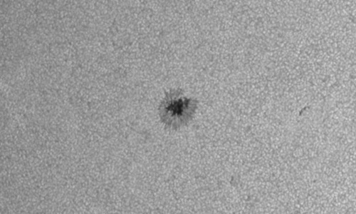 2023年3月12日の黒点（活動領域13251）