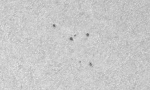 2023年3月14日の黒点（活動領域13246）