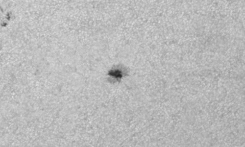 2023年3月14日の黒点（活動領域13247）