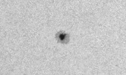 2023年3月14日の黒点（活動領域13251）