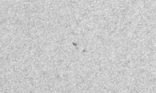 2023年3月18日の黒点（活動領域13255）