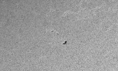 2023年3月19日の黒点（活動領域13258）