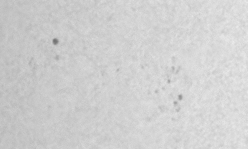 2023年3月23日の黒点（活動領域13259）