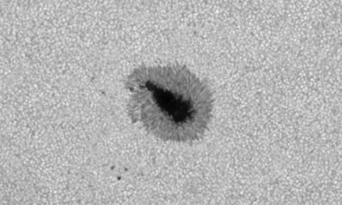 2023年3月24日の黒点（活動領域13256）