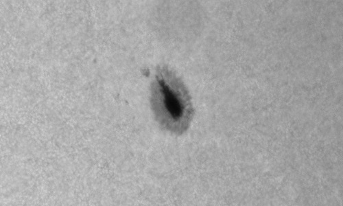 2023年3月28日の黒点（活動領域13260）