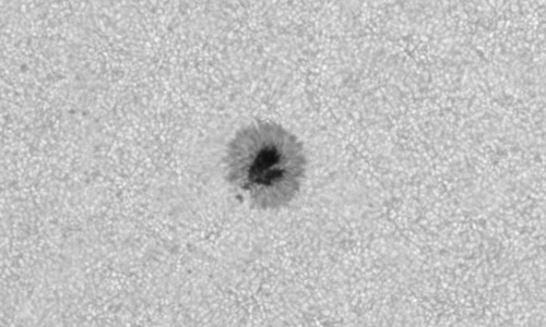 2023年3月28日の黒点（活動領域13262）