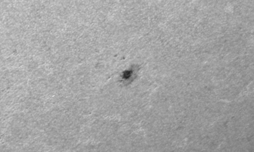 2023年3月29日の黒点（活動領域13257）