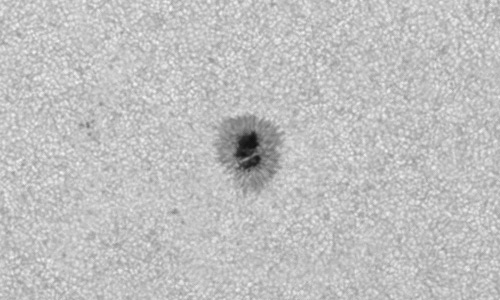 2023年3月29日の黒点（活動領域13262）