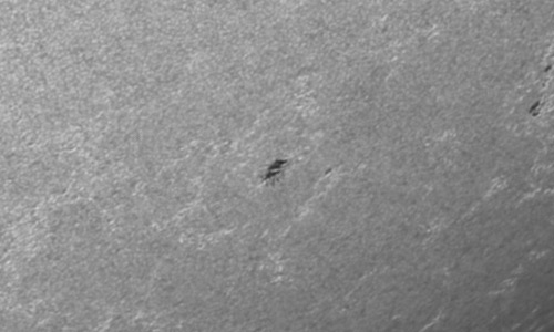 2023年3月30日の黒点（活動領域13257）