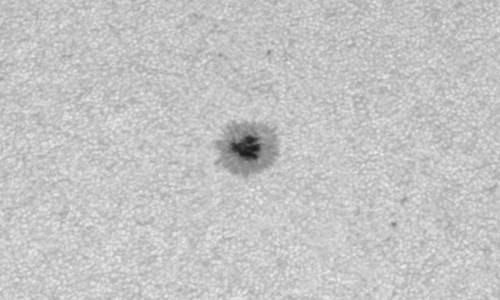 2023年3月30日の黒点（活動領域13264）