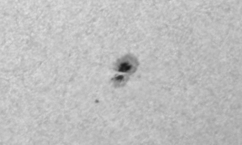 2023年3月31日の黒点（活動領域13262）