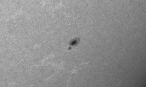 2023年4月2日の黒点（活動領域13262）