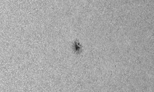 2023年4月2日の黒点（活動領域13264）