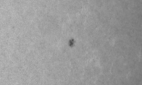 2023年4月3日の黒点（活動領域13264）