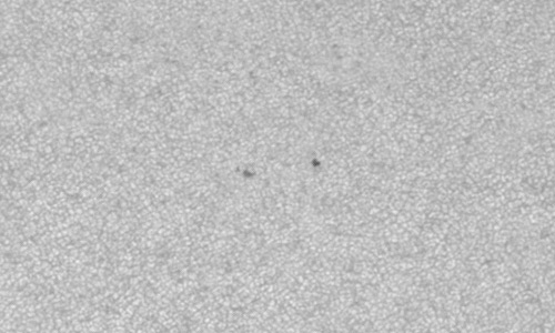 2023年4月3日の黒点（活動領域13266）