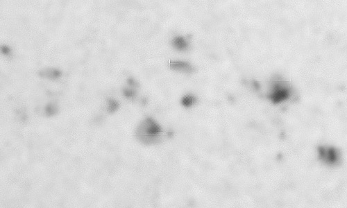 2023年4月12日の黒点（活動領域13272）