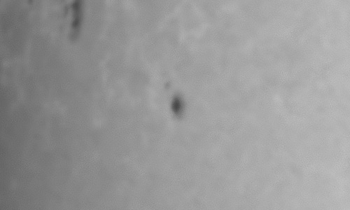 2023年4月12日の黒点（活動領域13276）