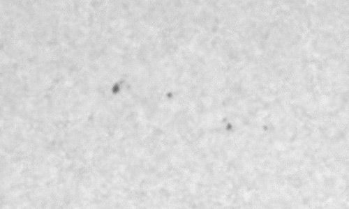 2023年4月12日の黒点（活動領域13277）