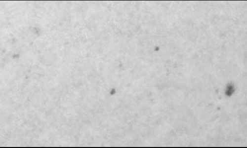 2023年4月15日の黒点（活動領域13272）