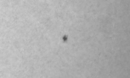 2023年4月15日の黒点（活動領域13273）