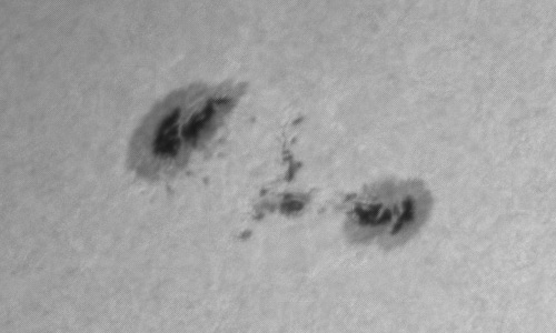 2023年4月15日の黒点（活動領域13282）