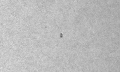 2023年4月18日の黒点（活動領域13275）