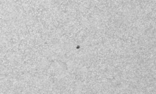 2023年4月25日の黒点（活動領域13284）