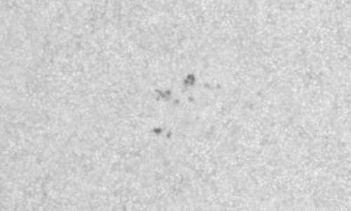 2023年4月27日の黒点（活動領域13286）