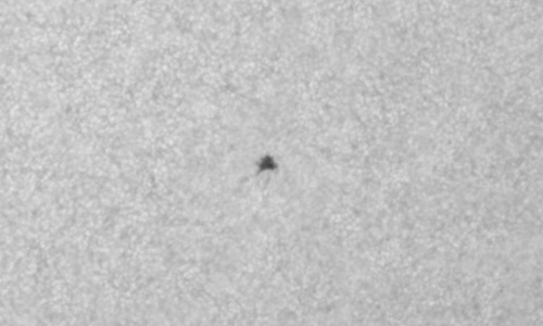 2023年4月30日の黒点（活動領域13286）