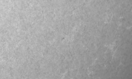 2023年5月2日の黒点（活動領域13286）