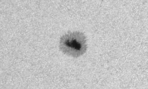 2023年5月7日の黒点（活動領域13294）