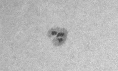 2023年5月12日の黒点（活動領域13301）