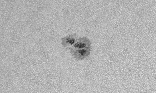 2023年5月13日の黒点（活動領域13301）