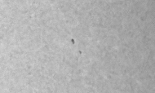 2023年5月16日の黒点（活動領域13304）