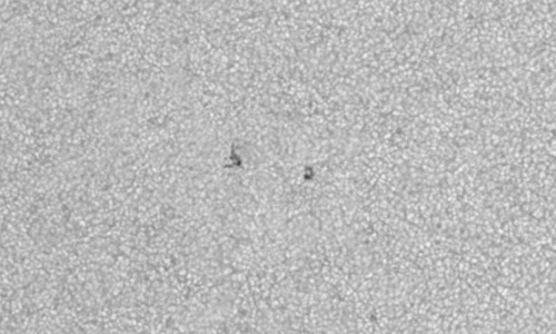 2023年5月17日の黒点（活動領域13307）