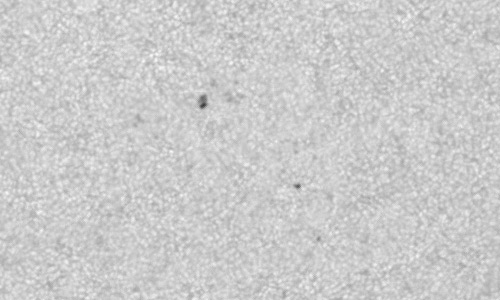 2023年5月19日の黒点（活動領域13307）