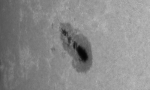 2023年5月19日の黒点（活動領域13310）