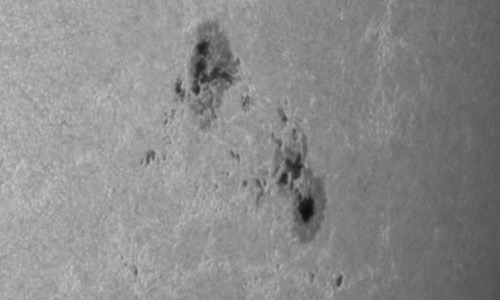 2023年5月20日の黒点（活動領域13305）