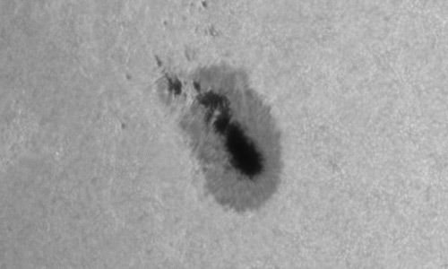 2023年5月20日の黒点（活動領域13310）