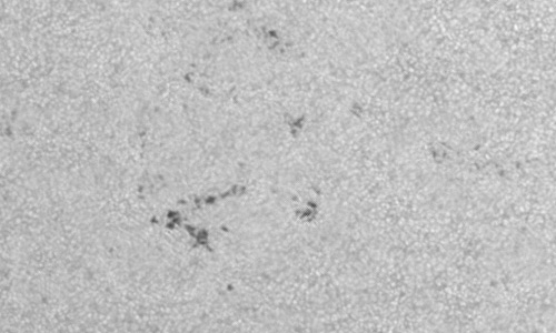 2023年5月24日の黒点（活動領域13312）