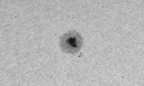 2023年5月24日の黒点（活動領域13313）