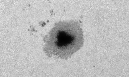 2023年5月25日の黒点（活動領域13310）